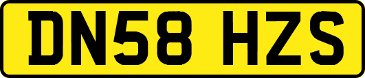 DN58HZS