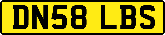 DN58LBS