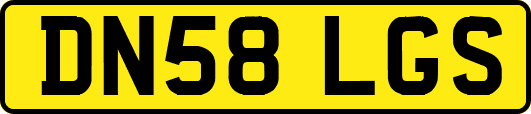 DN58LGS
