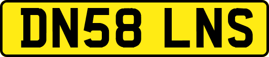 DN58LNS