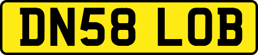 DN58LOB