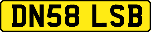 DN58LSB