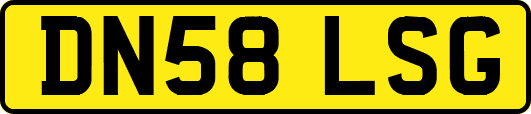 DN58LSG