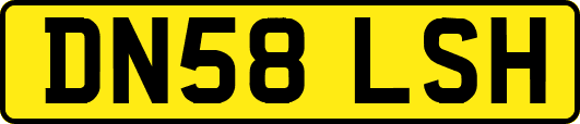 DN58LSH