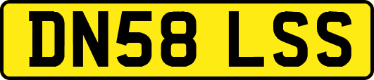 DN58LSS