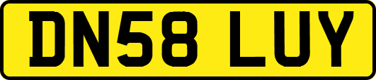 DN58LUY