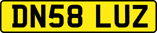 DN58LUZ