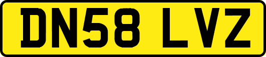 DN58LVZ
