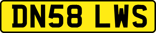 DN58LWS