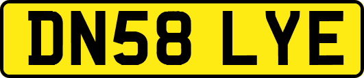 DN58LYE