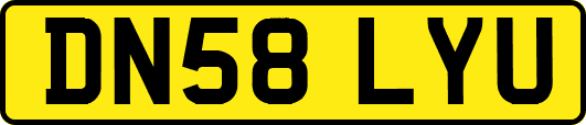 DN58LYU