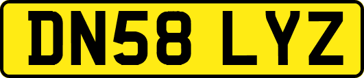 DN58LYZ