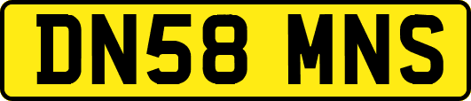 DN58MNS