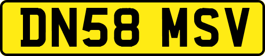 DN58MSV