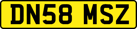 DN58MSZ