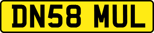 DN58MUL