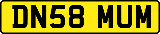 DN58MUM