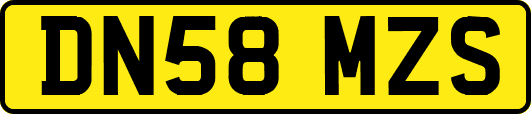 DN58MZS