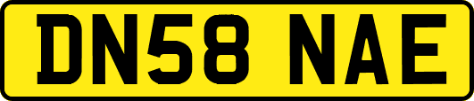 DN58NAE