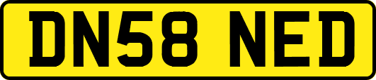 DN58NED