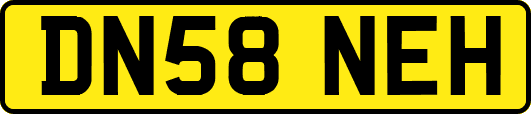 DN58NEH