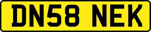 DN58NEK
