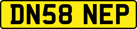 DN58NEP
