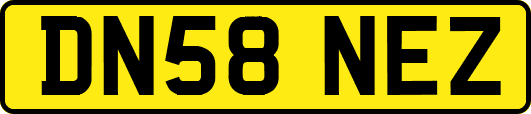 DN58NEZ