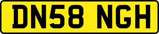 DN58NGH