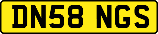 DN58NGS