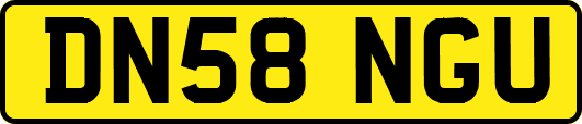 DN58NGU