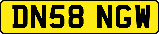 DN58NGW