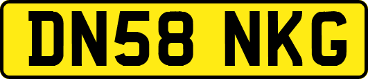 DN58NKG