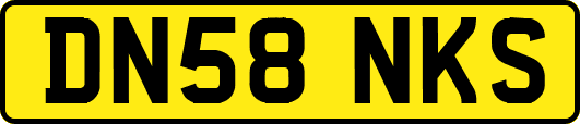 DN58NKS