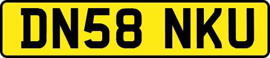 DN58NKU