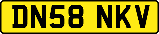 DN58NKV