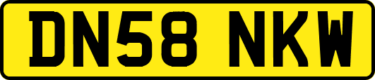 DN58NKW
