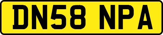 DN58NPA