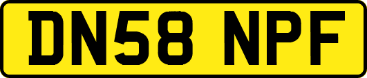 DN58NPF