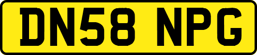 DN58NPG