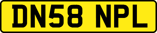 DN58NPL