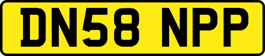 DN58NPP