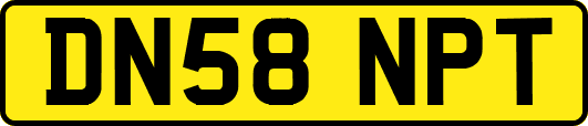 DN58NPT