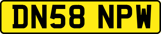 DN58NPW