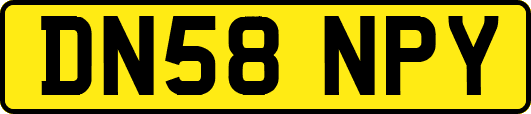 DN58NPY