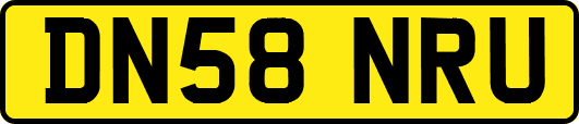 DN58NRU