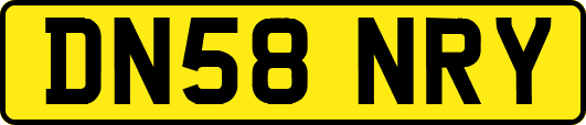 DN58NRY
