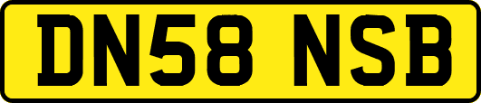 DN58NSB