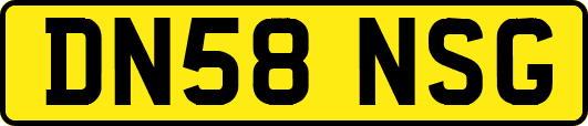 DN58NSG