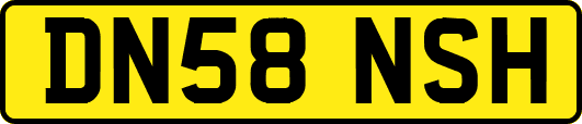 DN58NSH
